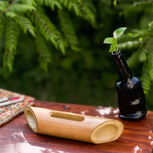 Bamboo Amplifier 8